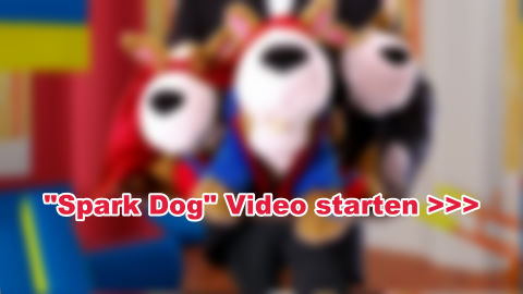 Spark Dog in Aktion