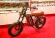 Pan Americana 20 Zoll Mountain-E-Bike