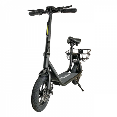 Pan Americana 12 Zoll E-Bike