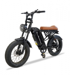 Pan Americana 20 Zoll Mountain-E-Bike